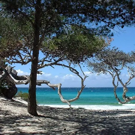 Amazing In Saint-florent Apartment *