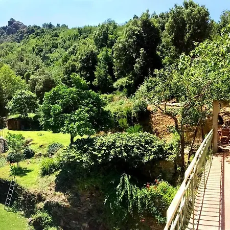 Amazing In Saint-florent Apartment *